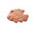 Spectrum 1445 PAPAYA high-fire glaze